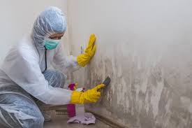 Best Real Estate Mold Inspection  in Pacheco, CA